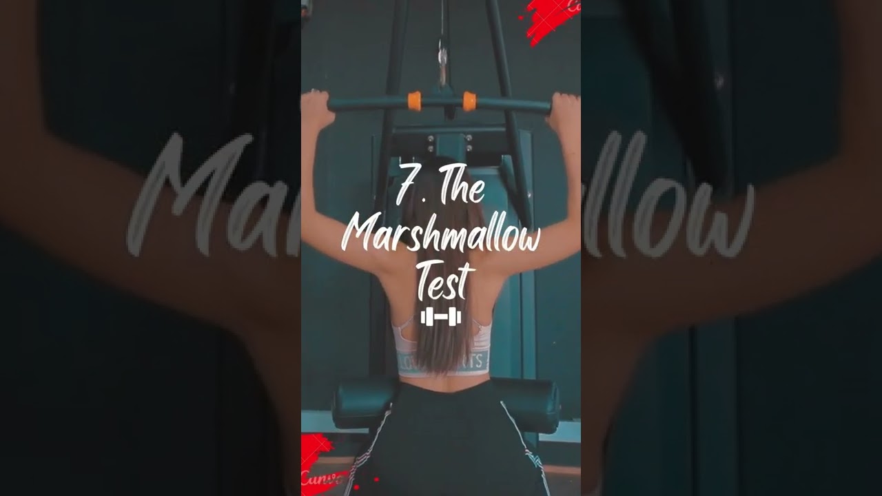 'Video thumbnail for Health and Fitness Books for Your Christmas'