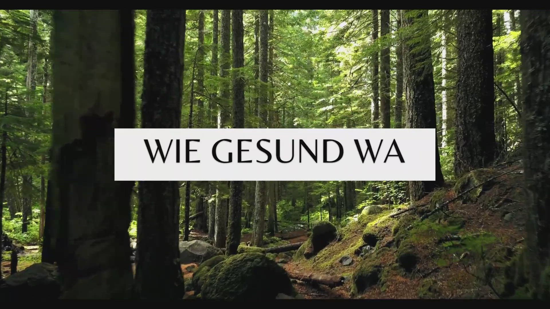 'Video thumbnail for Waldbaden'