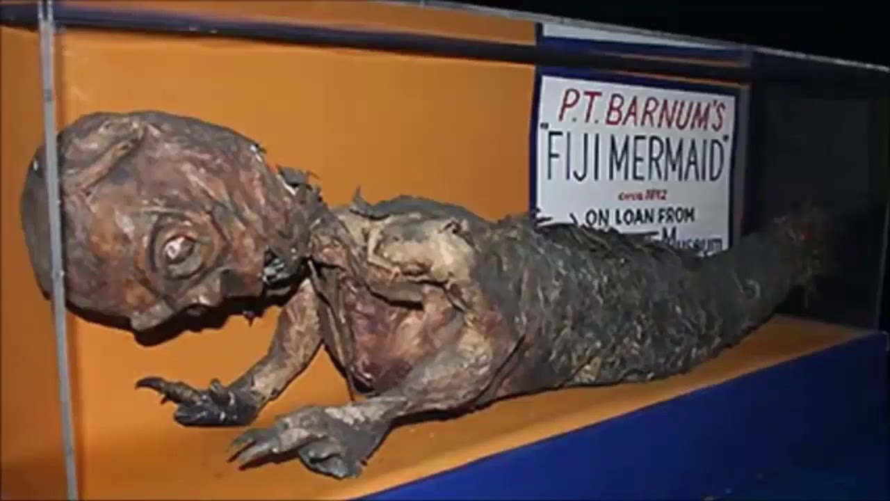 'Video thumbnail for 12 Foot Tall Two-Headed Giant in Patagonia KWA DPA'