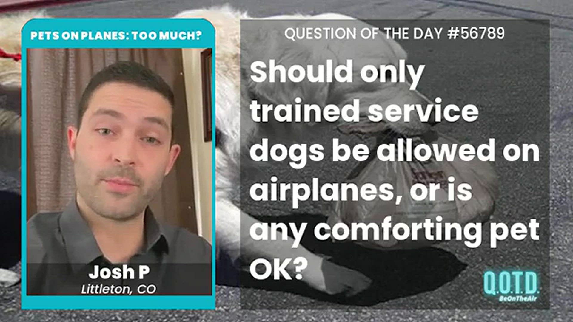 Video thumbnail for Josh says people should bring on planes whatever service animal they need. True!