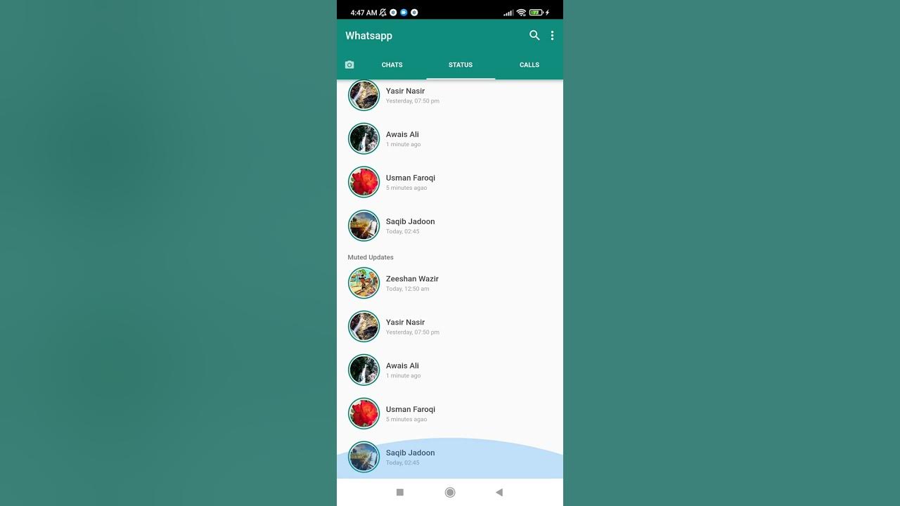 'Video thumbnail for WhatsApp Status Screen UI In Flutter | Source Code Link In Description'