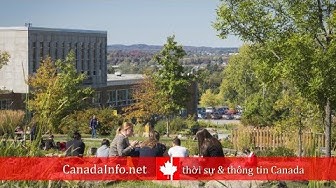 Video thumbnail for Which Canadian universities best prepare students for employment - 2019