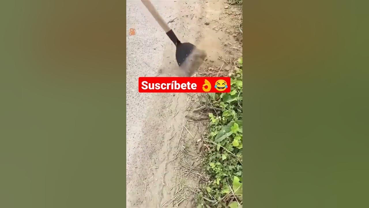 'Video thumbnail for peores momentod😱😂😂😂 #funnyvideo #shorts #shortsfeed'
