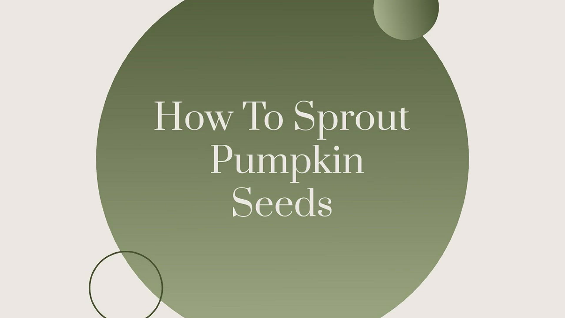 'Video thumbnail for HOW TO SPROUT PUMPKIN SEEDS'