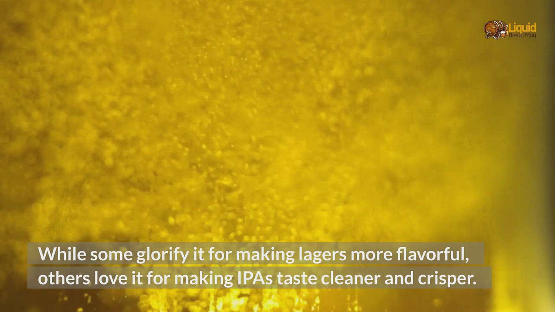 Video thumbnail for What’s an IPL Beer?