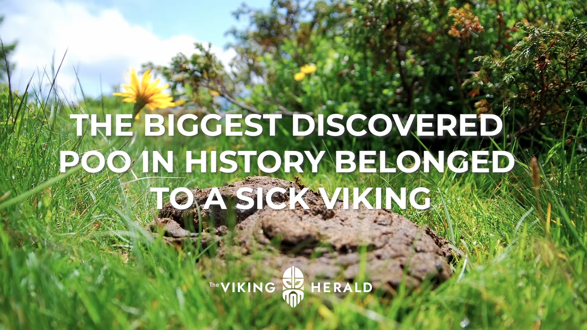 'Video thumbnail for The biggest discovered poo in history belonged to a sick Viking'