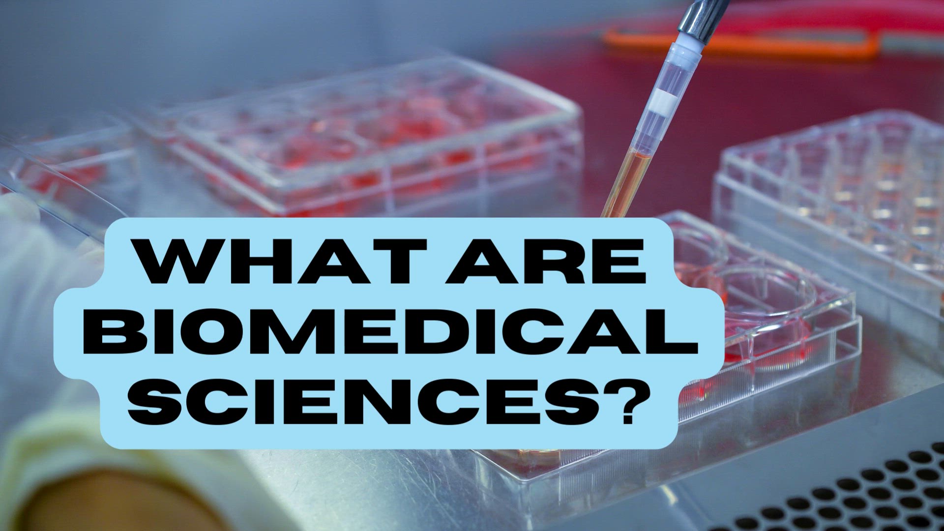 'Video thumbnail for What Are Biomedical Sciences?'