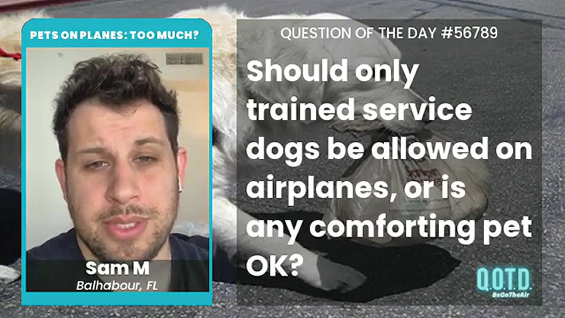 Video thumbnail for Sam says service animals have gotten too wild. Just dogs, please!