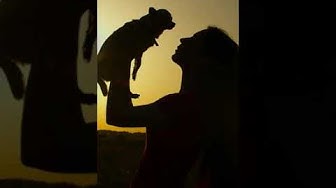 'Video thumbnail for What Is the Quirkiest Thing About Your Dog #shorts'
