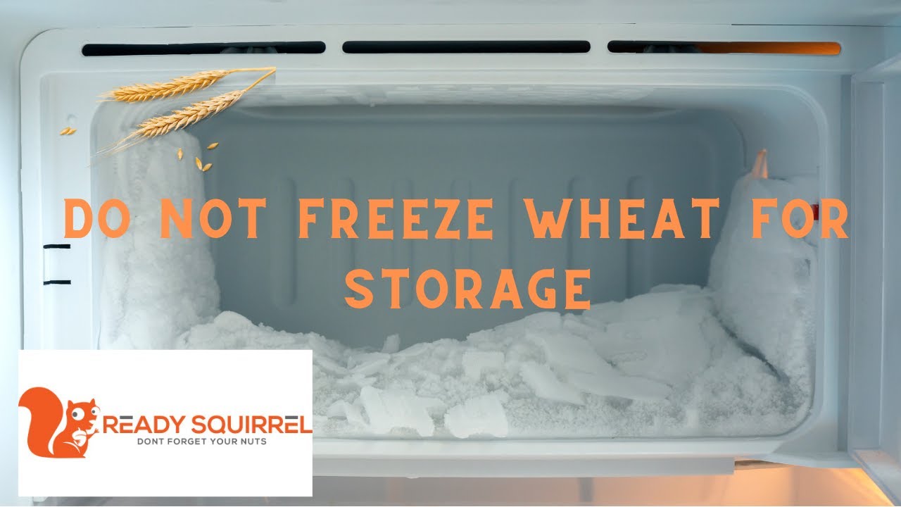 'Video thumbnail for Don't Freeze Wheat For Storage'