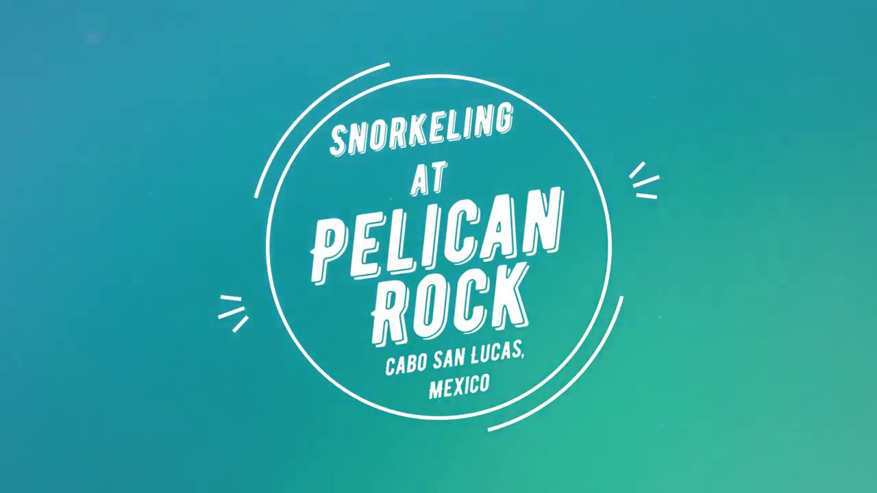 Video thumbnail for Snorkeling at Pelican Rock