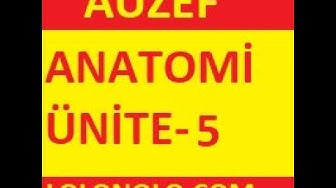 'Video thumbnail for AuzefAnatom Ünite-5 Test '