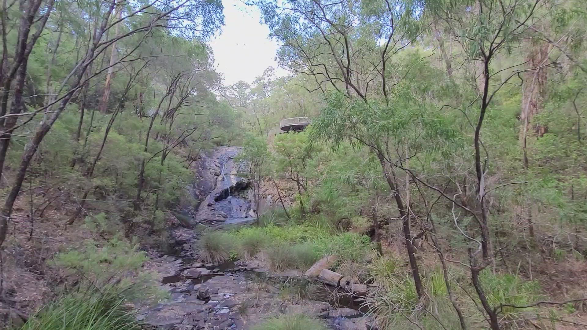 Video thumbnail for Beedelup Falls in Western Australia