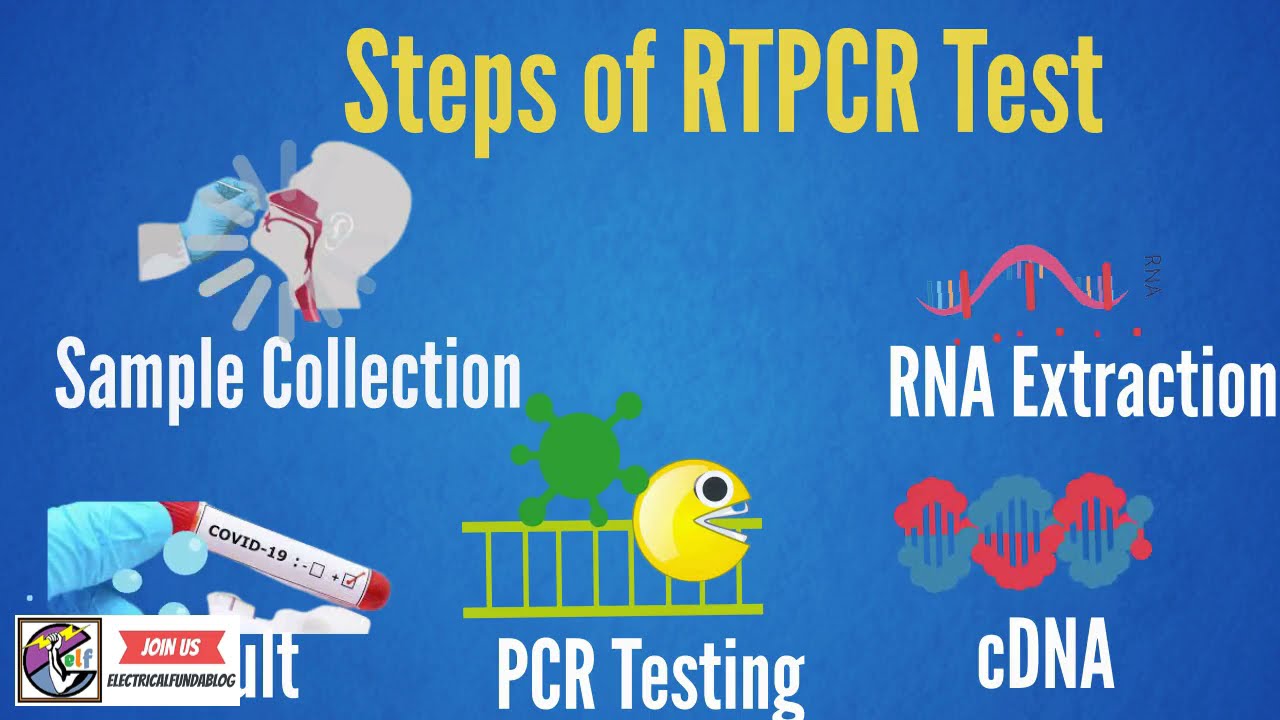Video thumbnail for RTPCR Test Functionality - How it Detects Covid-19 Corona Virus