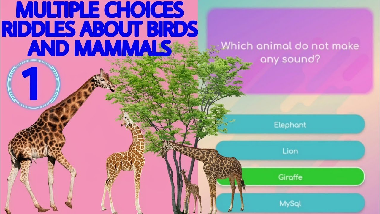 'Video thumbnail for Multiple choice riddles knowledge about birds and animals #1 | question and answer |Vu Giang Channel'