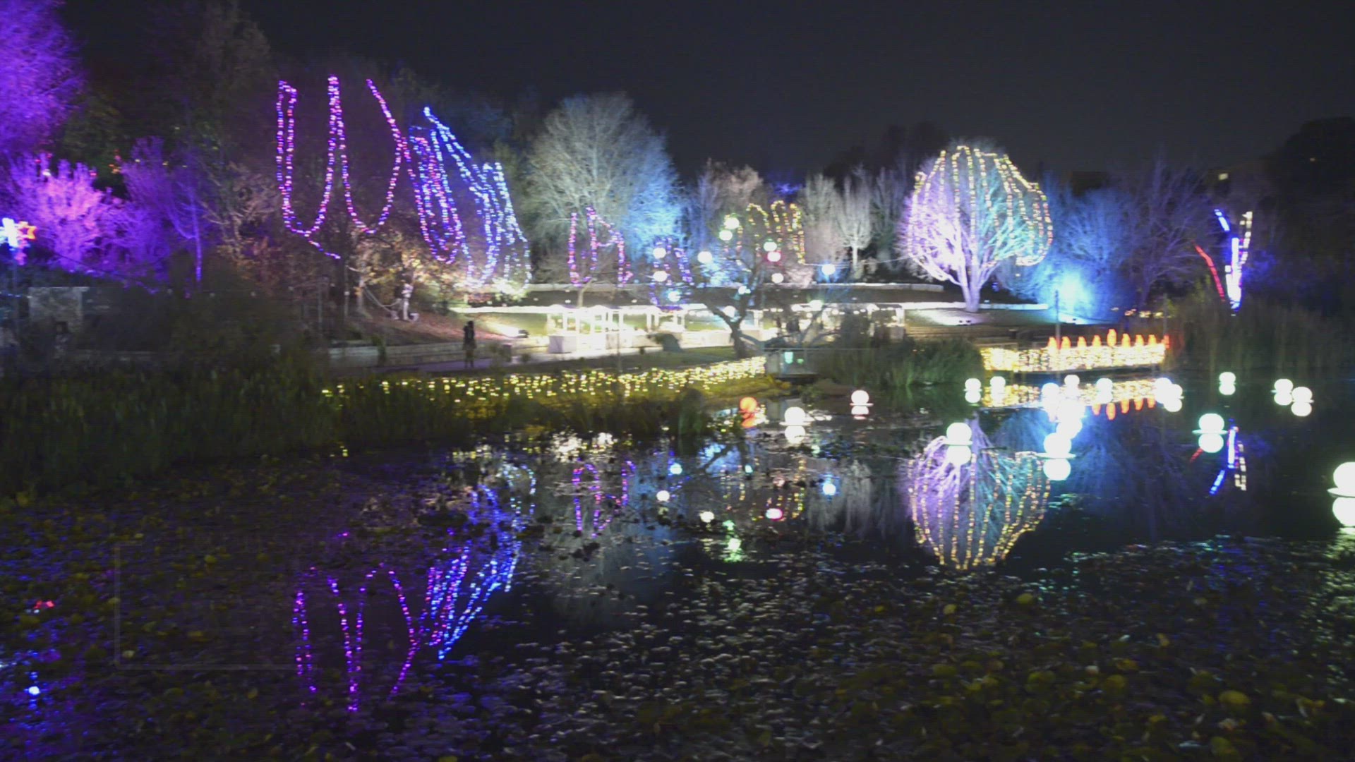 'Video thumbnail for Jerusalem Botanical Gardens (Winter Lights)'