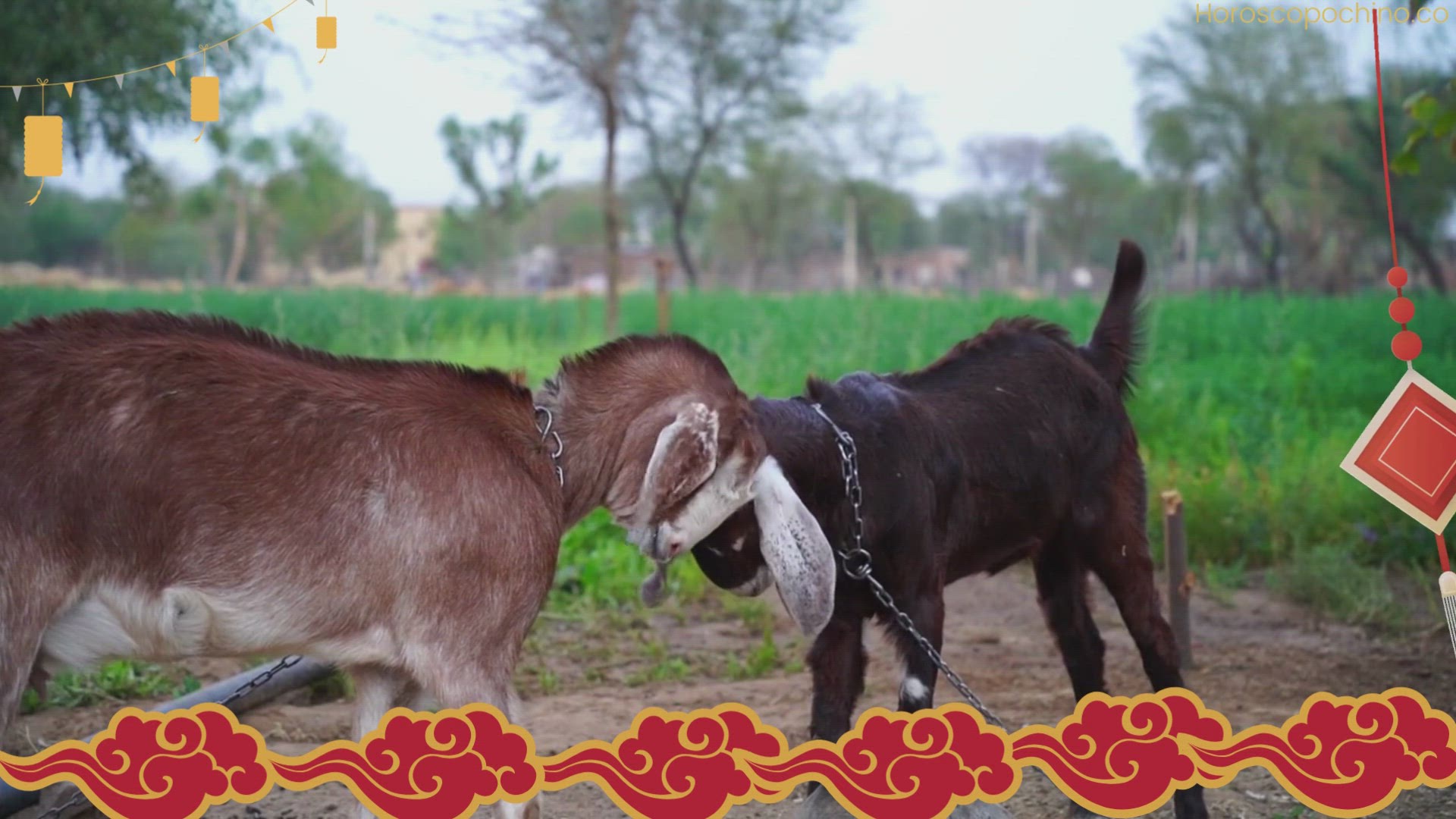 Video thumbnail for Lilith im Widder