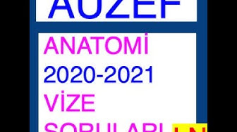 'Video thumbnail for Anatomi 2020 - 2021 Vize Soruları'