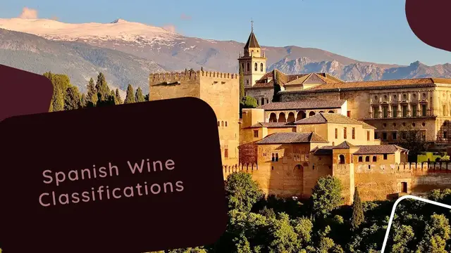 'Video thumbnail for Spanish Wine Classification Explanation'