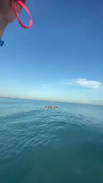 'Video thumbnail for Cubana casi muere del susto al confundir un delfín con un tiburón mientras se bañaba en la playa de Varadero'