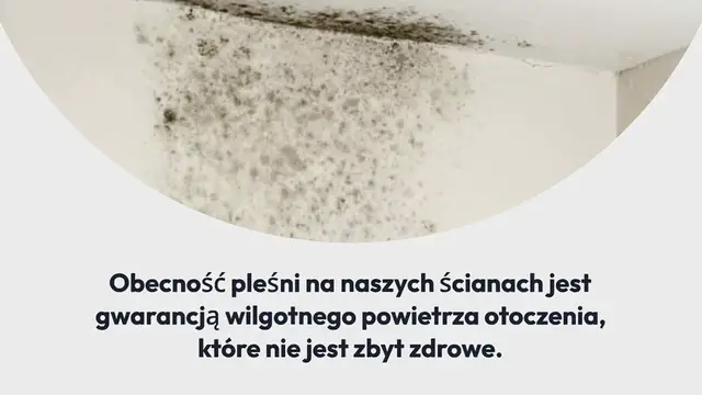 'Video thumbnail for Jak wyeliminować wilgoć i pleśń za pomocą prostego i skutecznego środka?'