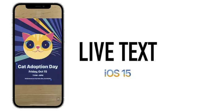 'Video thumbnail for Copy Text From Pictures with Your iPhone in Seconds!'