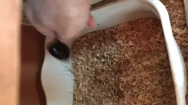 'Video thumbnail for How to Use Nesting Box Herbs'