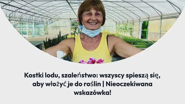 'Video thumbnail for https://sztuczkimajsterkowanie.com/mietowy-nigdy-wiecej-z-kilkoma-liscmi-i-wyblakly-wskazowka-ogrodnikow-dotyczaca-bujnych-bardziej-pachnacych-lisci/'