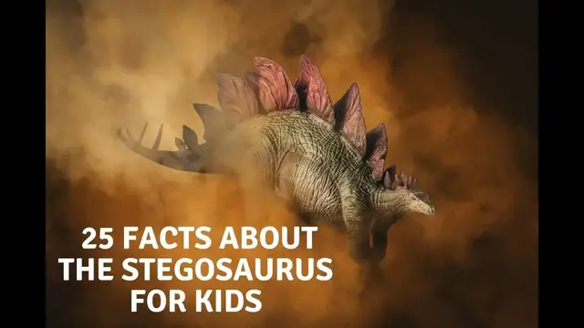 'Video thumbnail for Stegosaurus Facts For Kids'