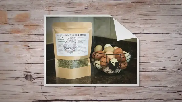 'Video thumbnail for CHICKEN NESTING BOX HERBS'