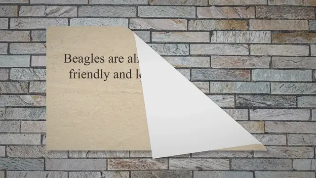 'Video thumbnail for 10 Popular Beagle Mixed Breeds You Need to Know About'