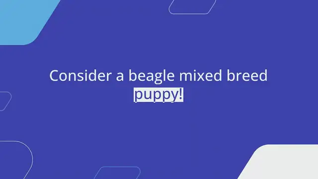 'Video thumbnail for 10 Popular Beagle Mixed Breeds You Need to Know About'