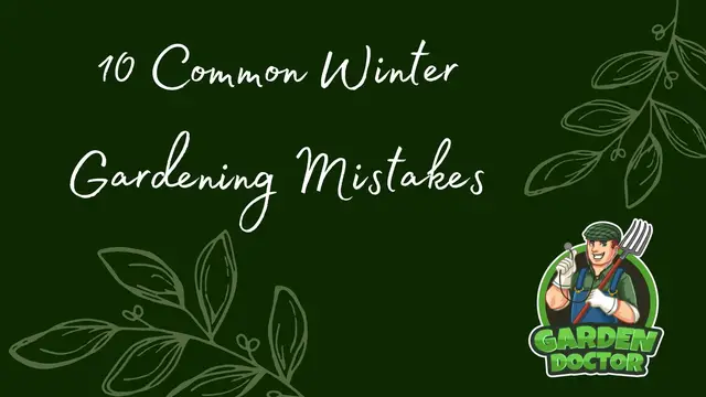 'Video thumbnail for Common Winter Gardening Mistakes'