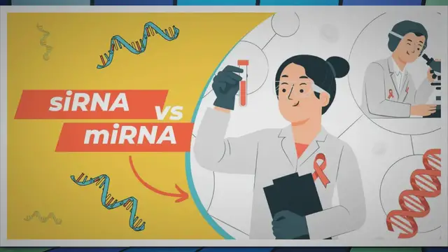 'Video thumbnail for Exploring the 10 Major Differences Between siRNA and miRNA'