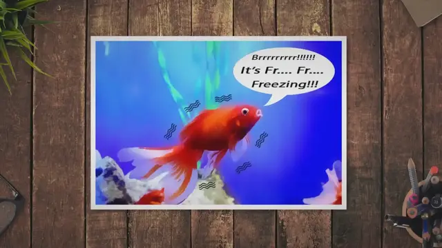 'Video thumbnail for How Long Can Tropical Fish Live Without A Heater'