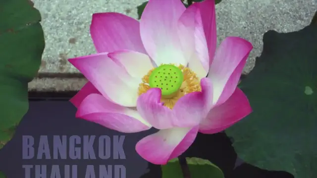 'Video thumbnail for Bangkok, Thailand'