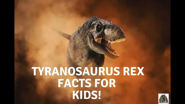'Video thumbnail for Tyrannosaurus Rex Facts'