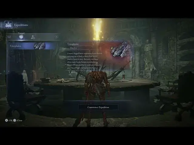 'Video thumbnail for Elden Ring Nightreign - Roundtable Hold: Expeditions Message: Matchmaking Settings Gameplay'