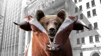 'Video thumbnail for The Bear Market Survival Handbook: What You Need to Know #stockmarket'