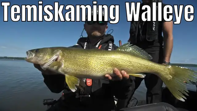'Video thumbnail for Trolling Cranks for Lake Temiskaming Walleye | Fish'n Canada'