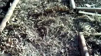 'Video thumbnail for How To Compost At Home'