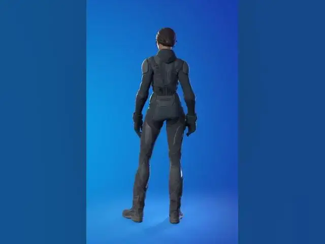 'Video thumbnail for Chani #fortniteskin'