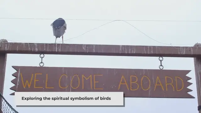 'Video thumbnail for Feathered Messengers: Decoding the Spiritual Significance of Bird Omens'