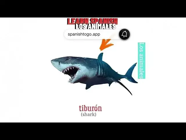 'Video thumbnail for HOW TO SAY ANIMALS IN SPANISH'
