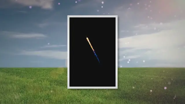 'Video thumbnail for blue smoke succulent'