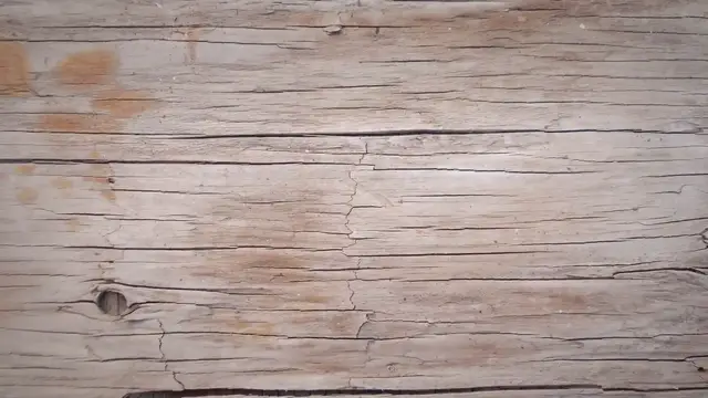 'Video thumbnail for Alternatives to Traditional Mealworm Substrate'