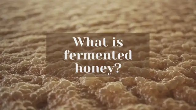 'Video thumbnail for What is Fermented Honey'