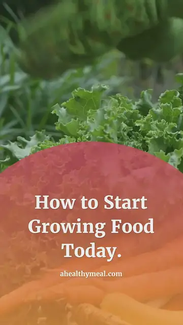 'Video thumbnail for How To Start Growing Food Today: Kitchen Basics'