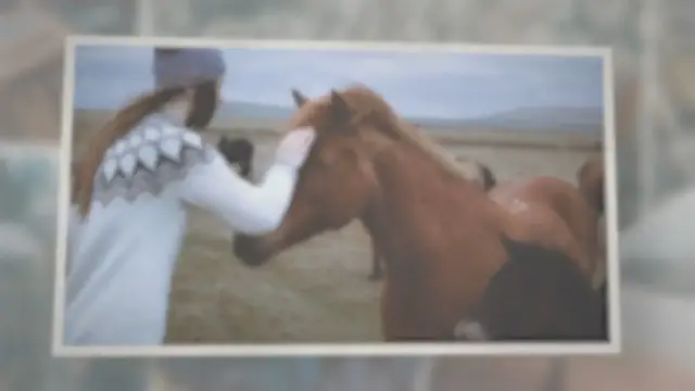 'Video thumbnail for Iceland Exmoor and Dartmoor Pony Breeds | Detailed Comparison and Characteristics'