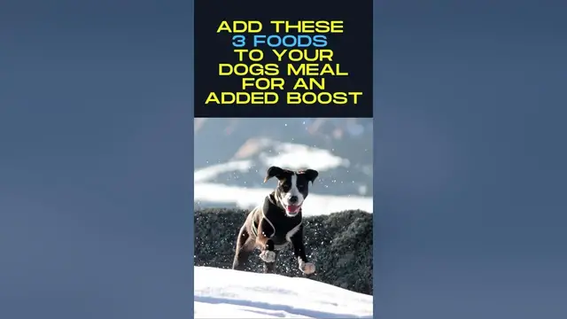 'Video thumbnail for Vitamins For Healthy Joints and Bones For Dogs. 3 Foods That Help!'